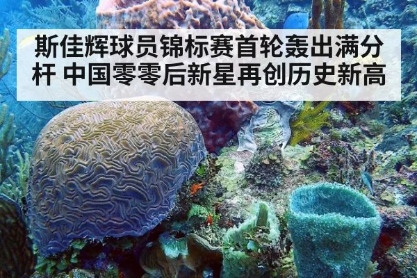 斯佳辉球员锦标赛首轮轰出满分杆 中国零零后新星再创历史新高